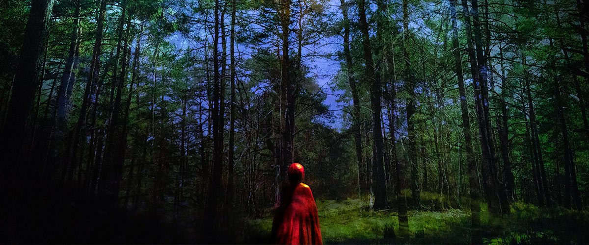 Le Petit Chaperon rouge