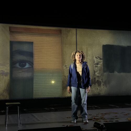 Micro-trottoir autour du spectacle “La petite Tuk” d’Alexandra Fleischer et Joachim Latarjet – Cie Oh! oui… 