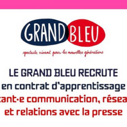 Le Grand Bleu recrute un.e assistant.e communication -réseaux sociaux- relations avec la presse !